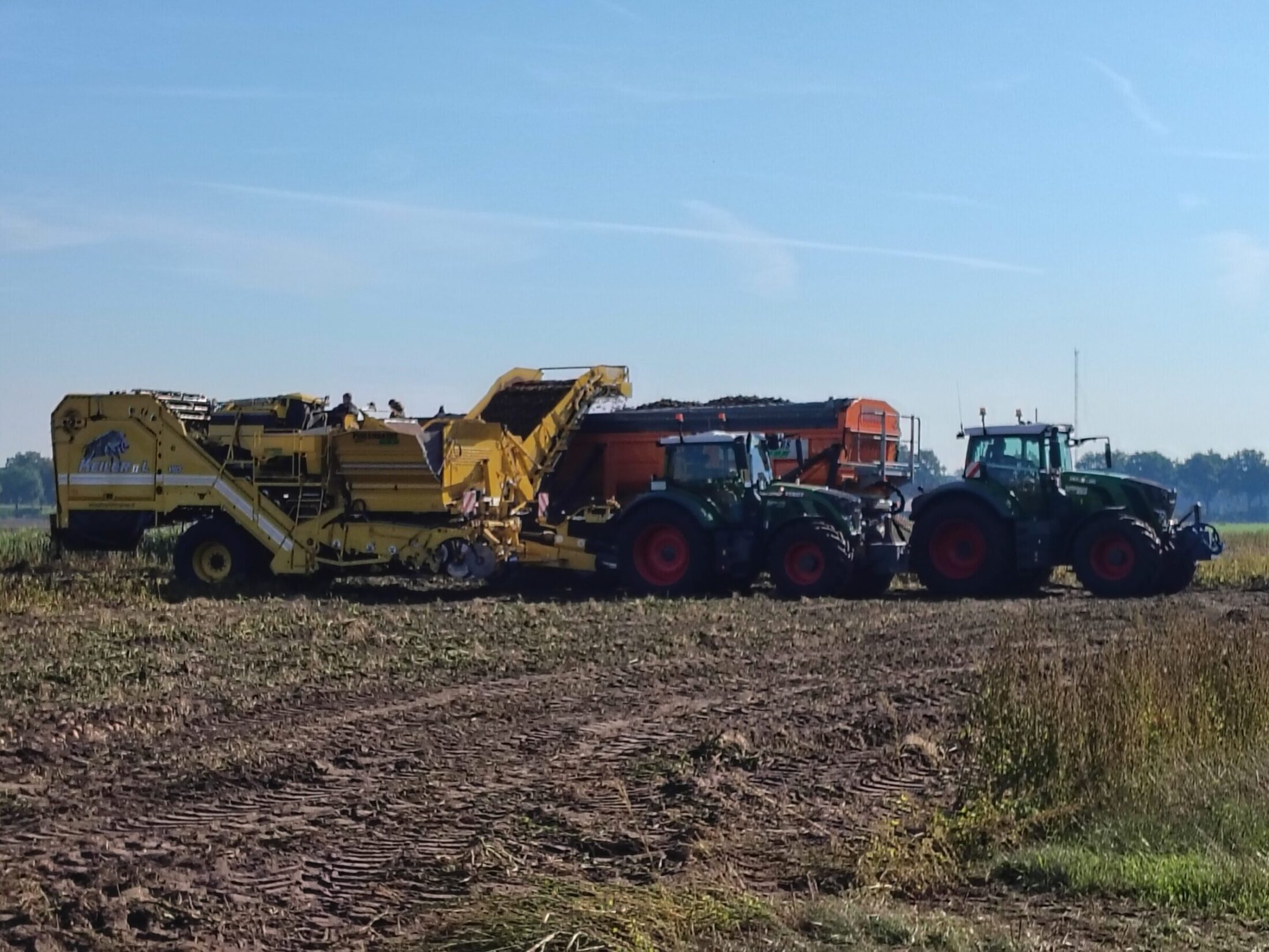 IMG_20250906_104959457_HDR