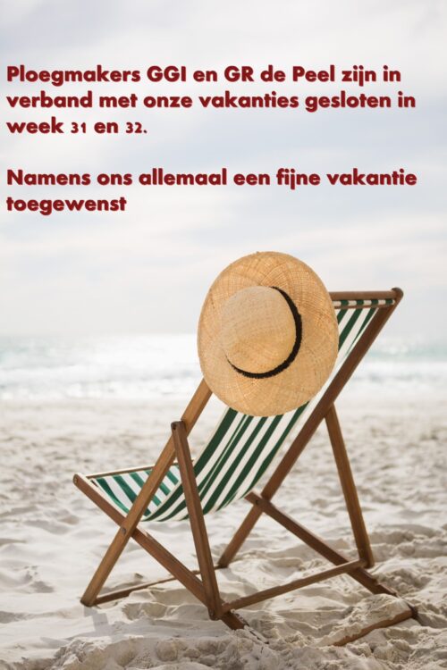 strohoed-bleef-leeg-strand-stoel